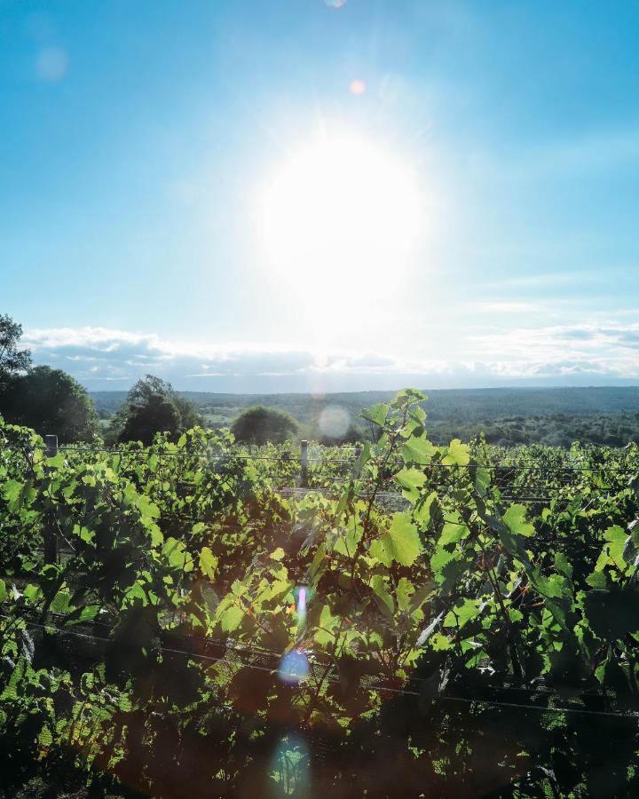 Cabana Sol Finca Pu Duam ビジャ・ヘネラル・ベルグラーノ エクステリア 写真