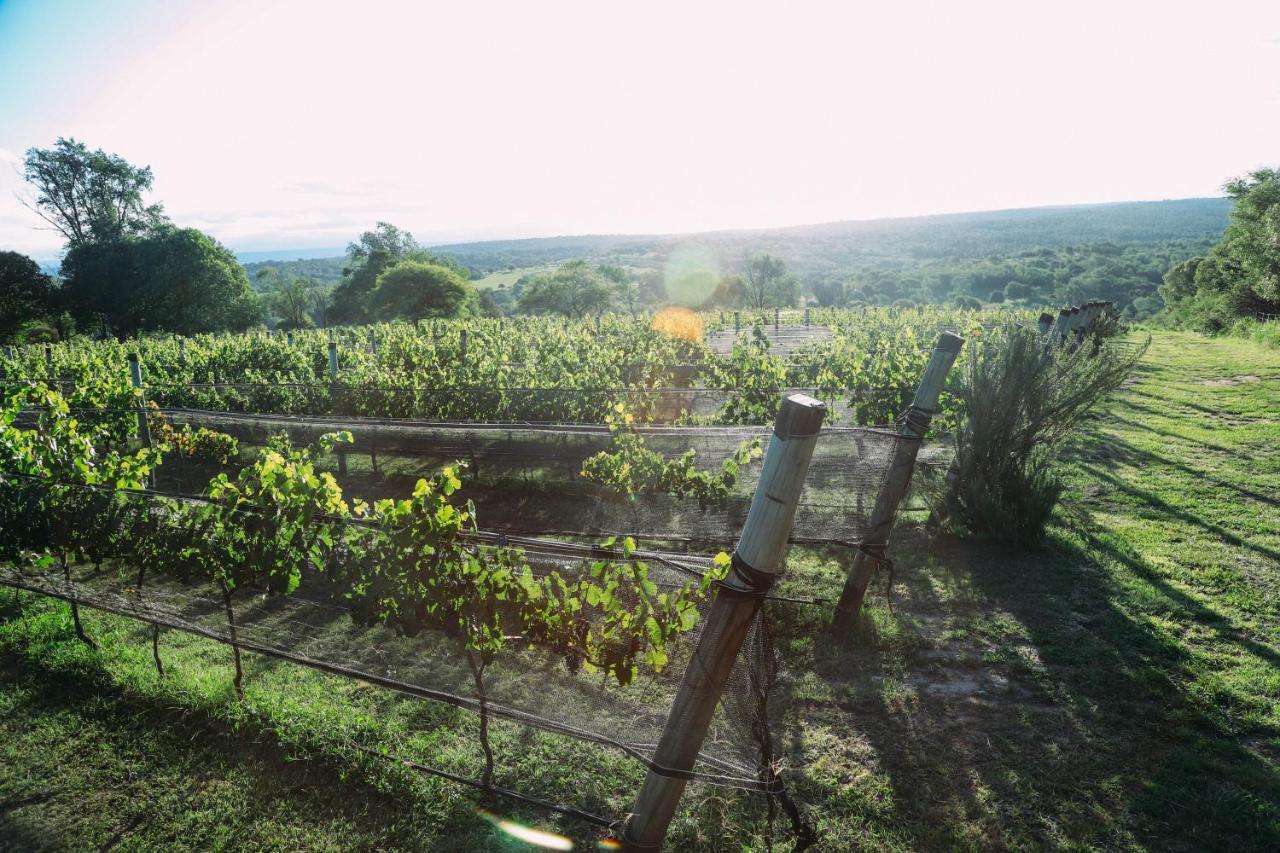 Cabana Sol Finca Pu Duam ビジャ・ヘネラル・ベルグラーノ エクステリア 写真